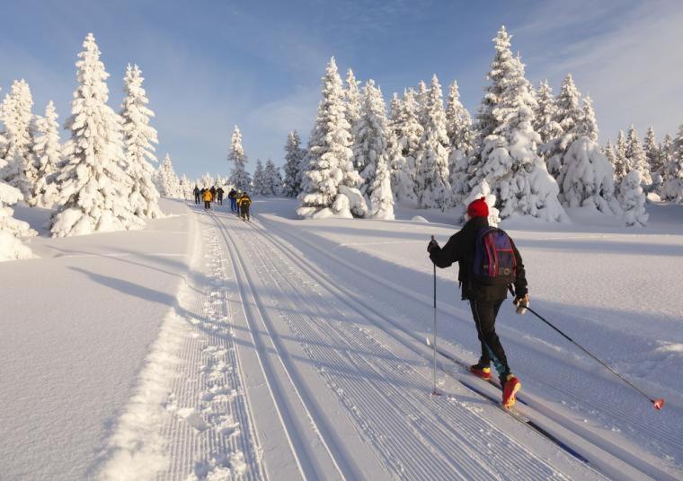 Villa Haukka Saariselka Bagian luar foto