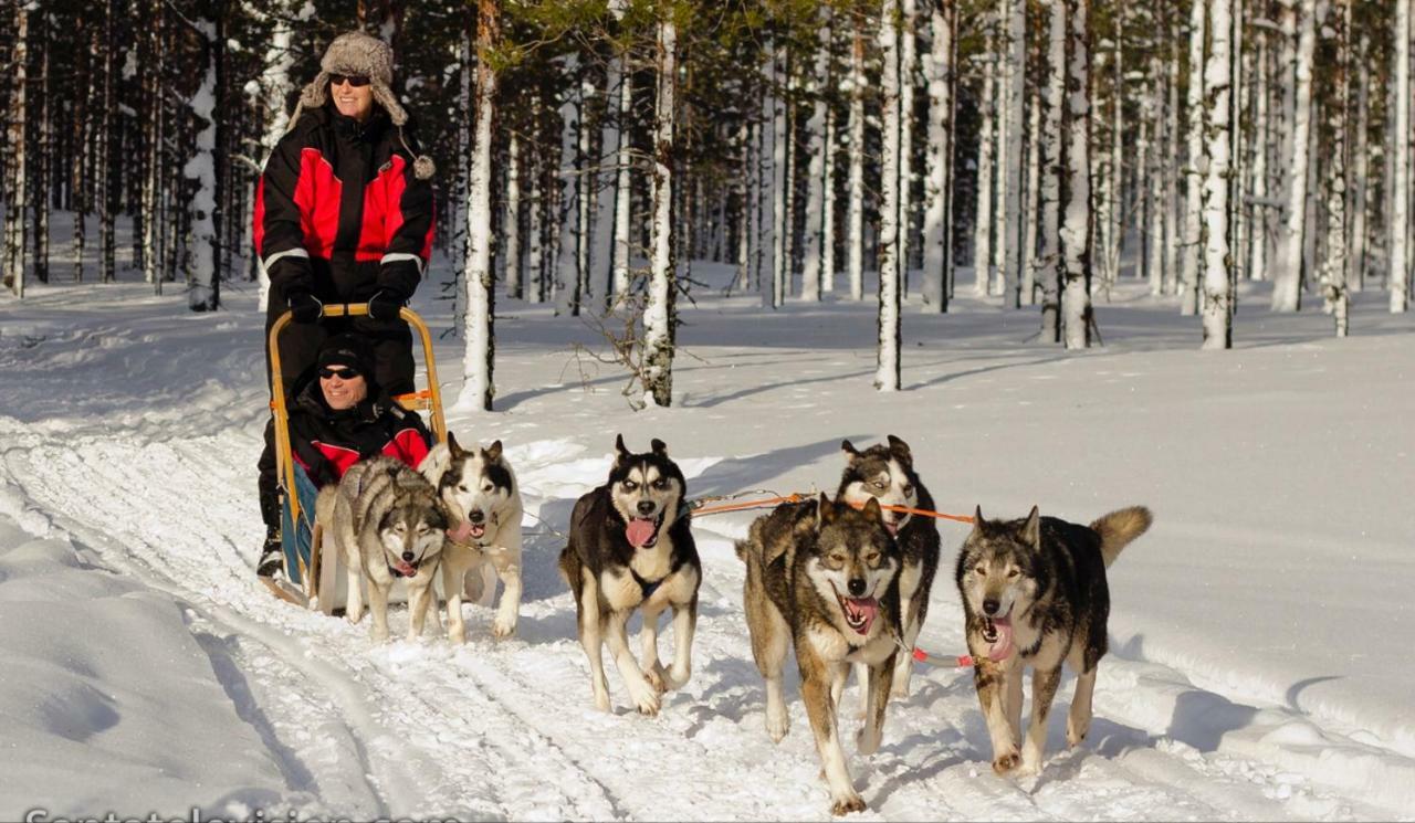 Villa Haukka Saariselka Bagian luar foto