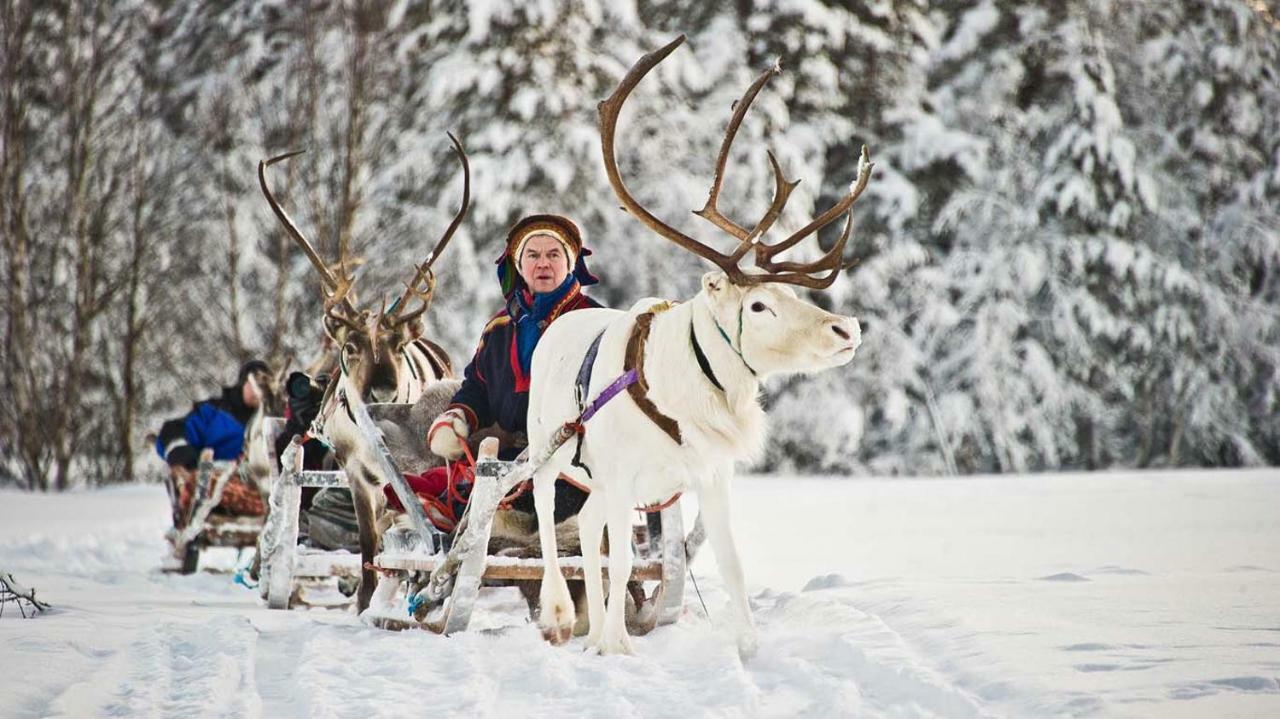 Villa Haukka Saariselka Bagian luar foto